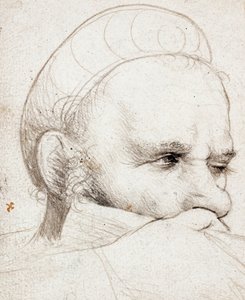 Het hoofd van een kruisboogschutter die richt door Hans Holbein the Elder