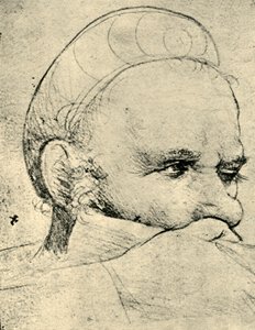 Het hoofd van een kruisboogschutter die richt, 1514-1515 door Hans Holbein the Elder