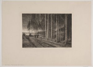 Regenachtige dag in het sparrenbos door Hans Julius Fæster