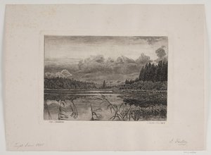 Het Meer in het Dennenbos door Hans Julius Fæster