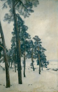 Vanuit Bogstadmeer