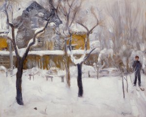 Winterlandschap