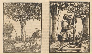 Boom en voorstelling van een fruitplukker tussen bomen door Hans Schäufelein (possibly)