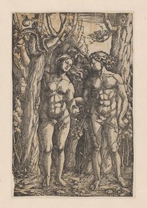 De zondeval door Hans Springinklee