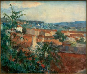 Landschap bij St. Tropez