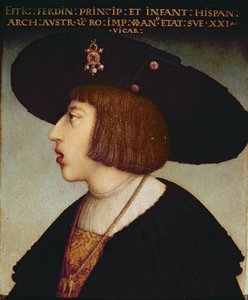 Portret van Ferdinand I, Heilige Roomse Keizer