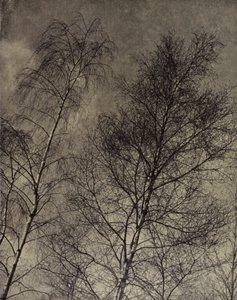 ... hun charme is geschreven langs een vloeibare hemel, Robert Bridges door Harold Burdekin