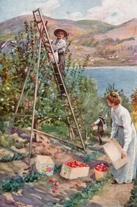 Een fruitranch in Nelson, British Columbia