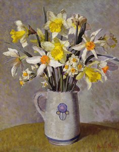 Narcissen