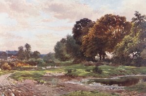 Een Hoek van Esher Common