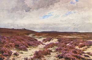 Frensham Common