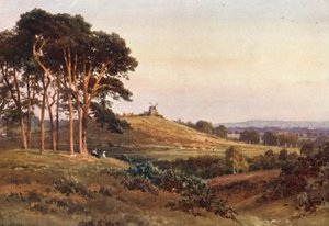 Reigate Heath, avond