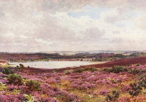 De Grote Vijver, Frensham door Harold Sutton Palmer