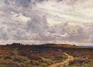 De Zanderige Weg, Milford Heath