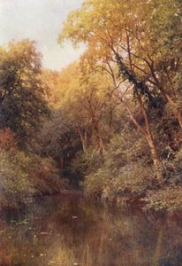 De stille vijver, Albury