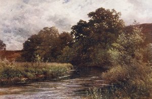 De Wey bij Hankley Common, nabij Tilford