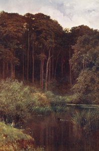 Diepten van het bos, Wotton