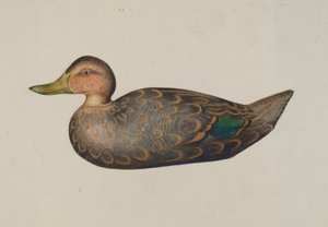Lokvogel Eend door Harriette Gale