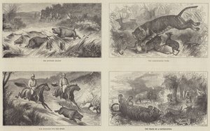 India en de Prins van Wales door Harrington Bird
