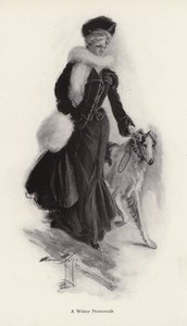 Vrouw wandelt met haar ruwe colliehond in de winter door Harrison Fisher