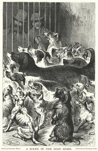 Een scène in het Hondenhuis door Harrison William Weir