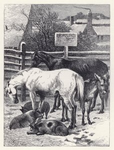 Dieren in de Kraal door Harrison William Weir