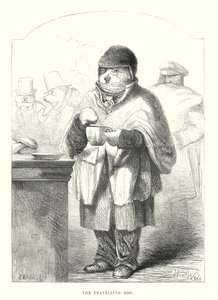 Grappige honden: de reizende hond (gravure) door Harrison William Weir