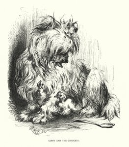 Zigeuner en de kip door Harrison William Weir