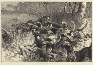 Het goed kunnen vinden, de Mid-Kent Staghounds door Harrison William Weir