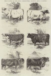 Prijsvee op de Royal Agricultural Society