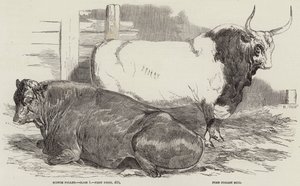 Prijsvee op de Royal Agricultural Society