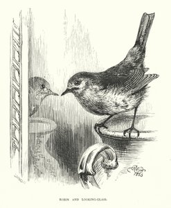 Robin en de Spiegel (gravure)