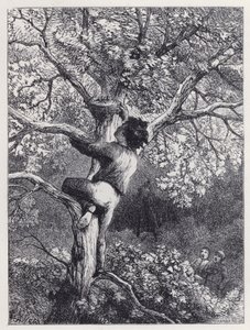 Het Nest van de Vinken Nemen door Harrison William Weir