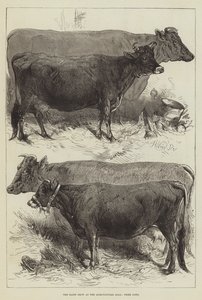 De Zuivelshow in de Landbouwhal, Prijskoeien door Harrison William Weir