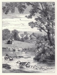 De eendenvijver door Harrison William Weir