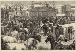 De voedselvoorziening van Parijs, paardenmarkt van slagers, Boulevard d