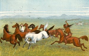 Het Paard - 