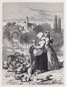 Het pluimveehof door Harrison William Weir