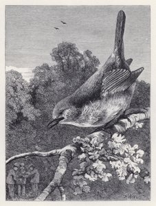 De Robin die de jongens met het nest bekijkt door Harrison William Weir