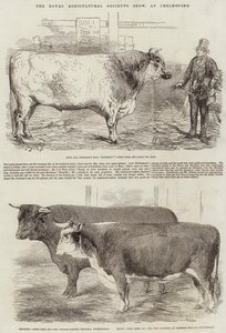 De show van de Koninklijke Landbouwmaatschappij, in Chelmsford door Harrison William Weir