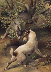 Twee honden proberen een waterplas te bereiken om te drinken door Harrison William Weir
