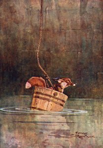 De Wolf en de Vos door Harry Rountree