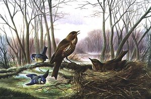 De Heraut van de Lente door Harry Bright
