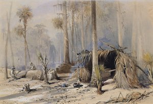 De Cypress-Shingle Yard, Ocklawaha River, Florida door Harry Fenn
