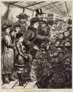 De chrysantenshow in de Temple Gardens door Harry Furniss