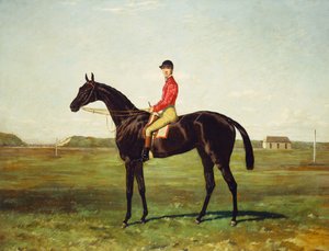 Een renpaard met jockey op de renbaan in Newmarket door Harry Hall