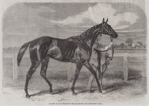 Caller Ou, de Winnaar van de St Leger door Harry Hall