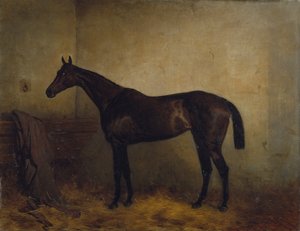 Chaplet, een bruine renmerrie in een losse box, c.1877