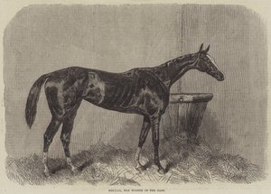 Regalia, de winnaar van de Oaks