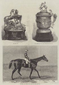De Ascot Cup door Harry Hall